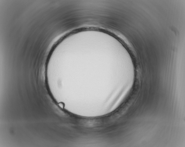 X0000113630791200910162014