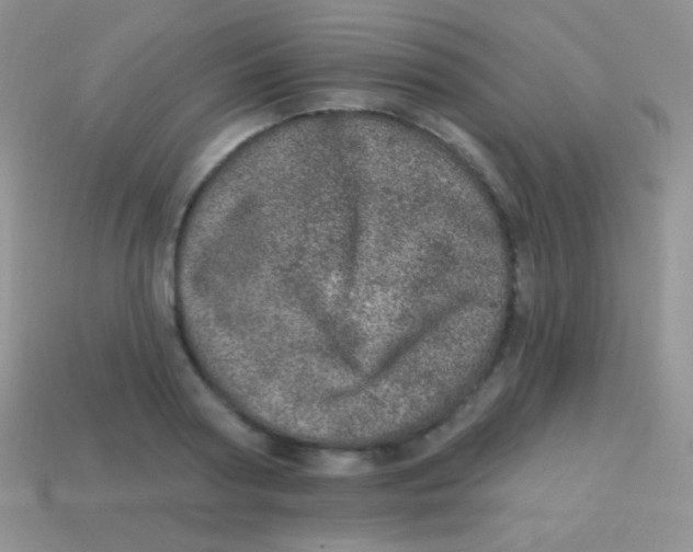 X0000113630794200910162014