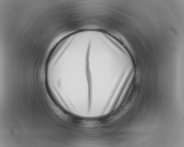 X0000113630795200910162014