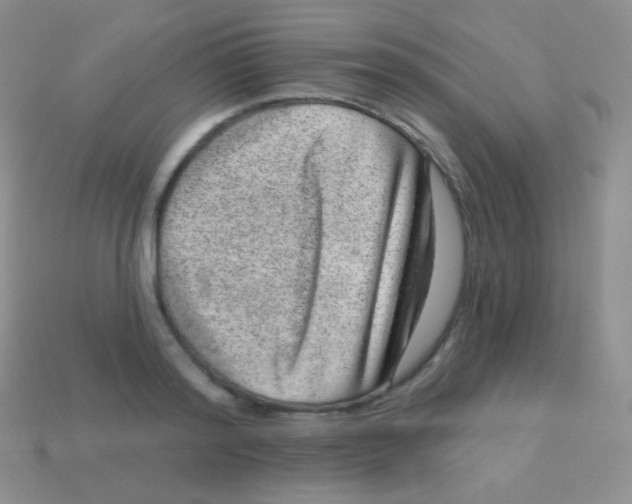 X0000113630796200910162014