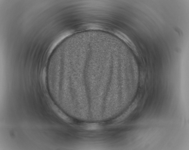 X0000113630798200910162014