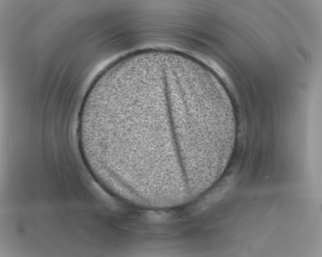 X0000113630799200910162014