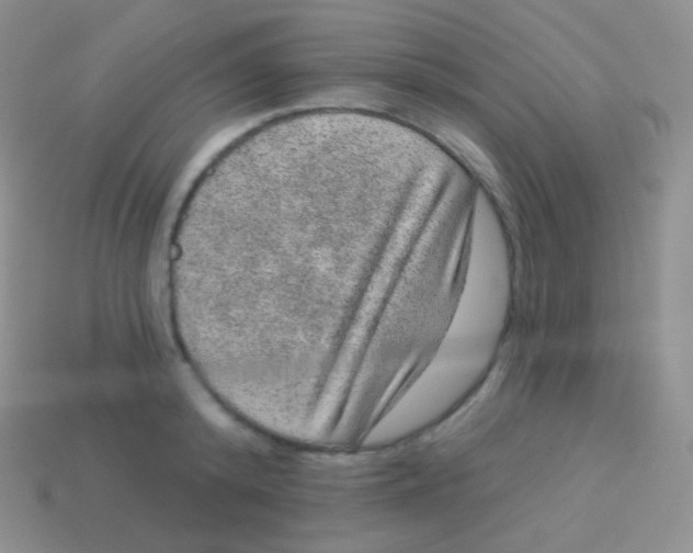 X0000113630800200910162014