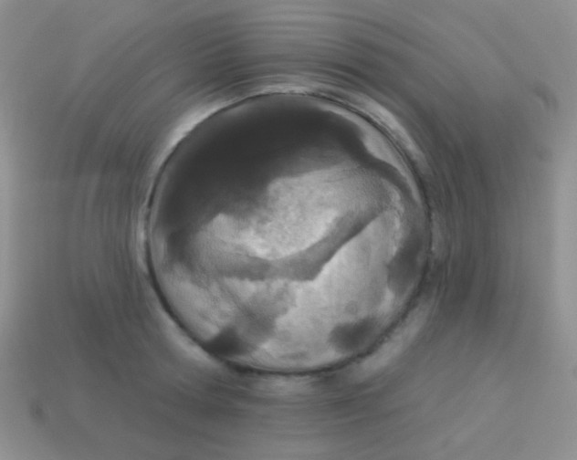 X0000113630802200910162014