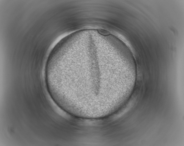 X0000113630803200910162014