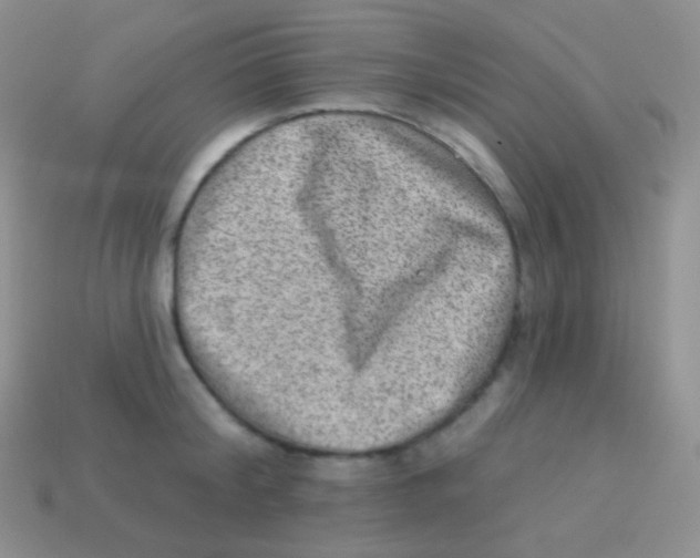 X0000113630804200910162014