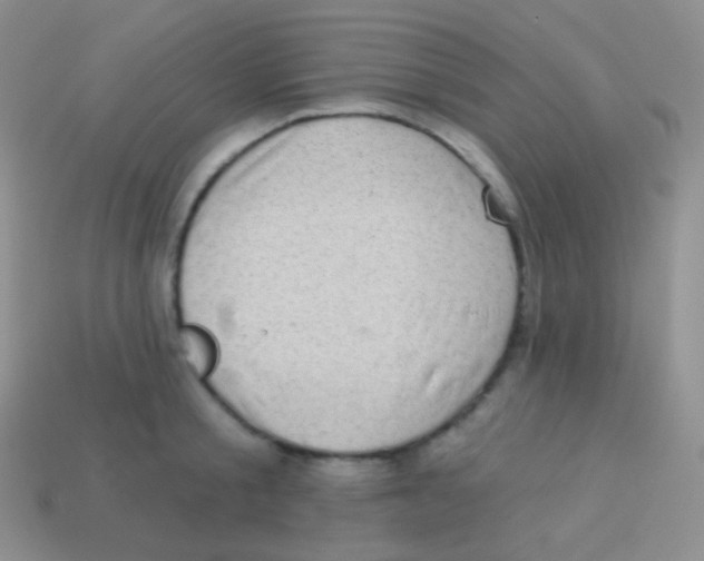 X0000113630805200910162014