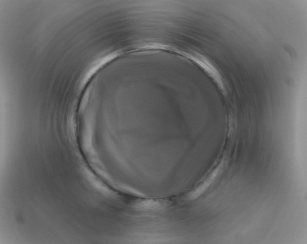 X0000113630806200910162014