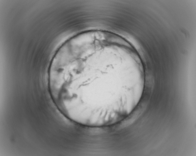 X0000113630807200910162014