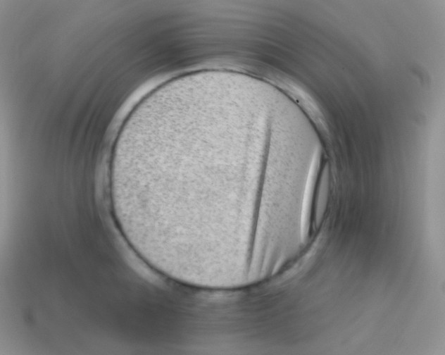 X0000113630808200910162014