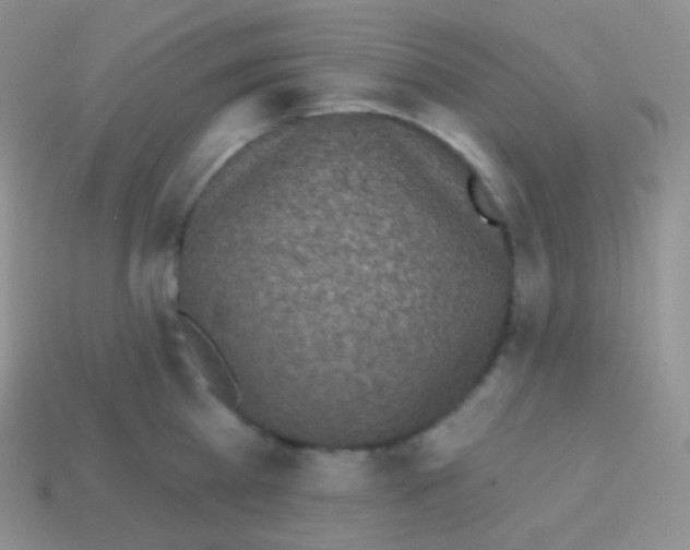 X0000113630809200910162014