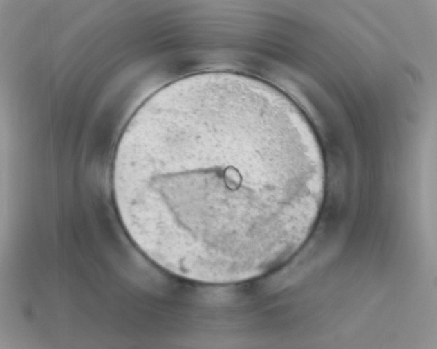 X0000113630810200910162014