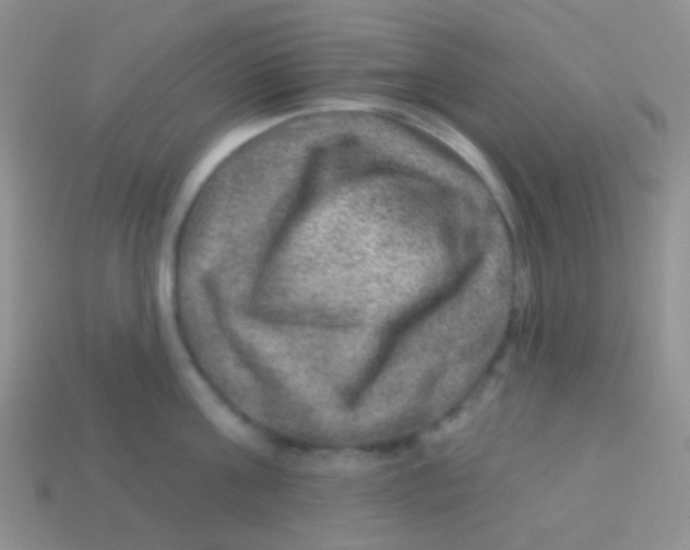 X0000113630811200910162014