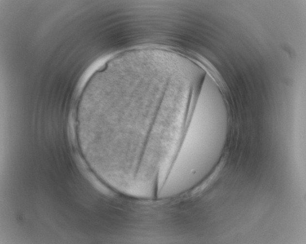 X0000113630812200910162014