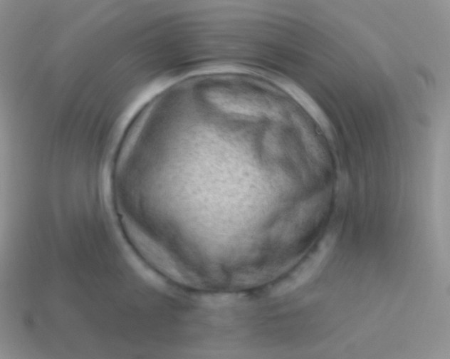 X0000113630813200910162014