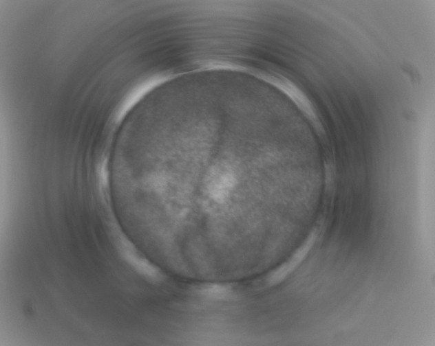 X0000113630814200910162014