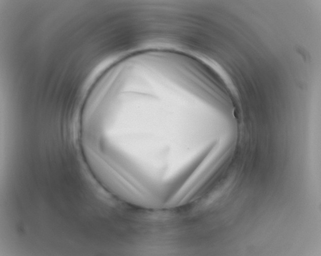 X0000113630815200910162014