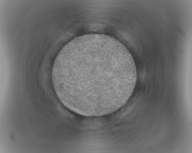 X0000113630817200910162013