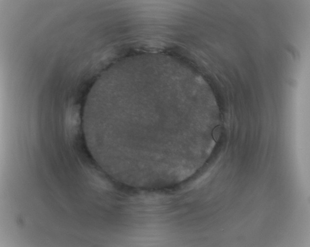 X0000113630818200910162013