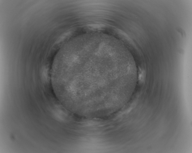 X0000113630819200910162013