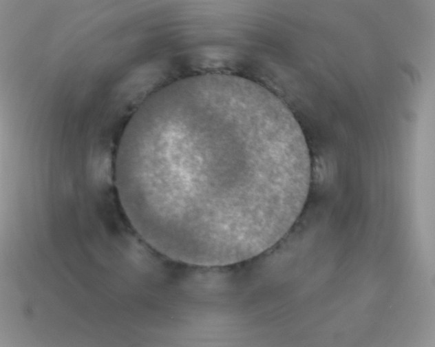 X0000113630820200910162013