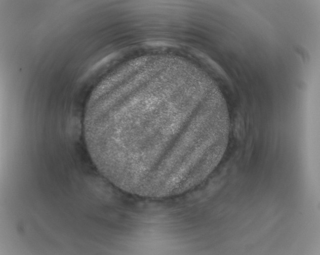 X0000113630821200910162013