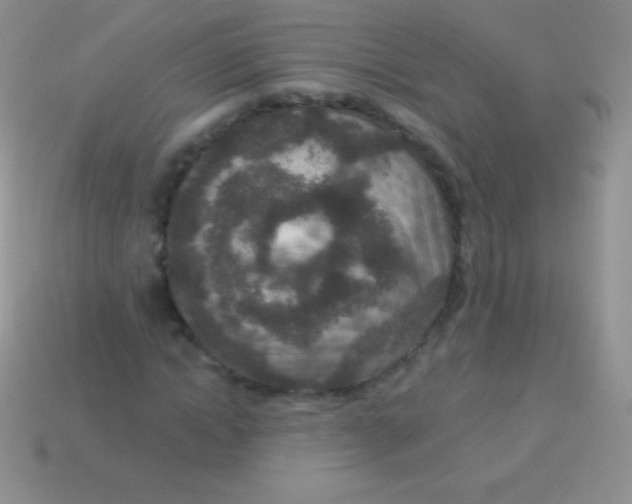 X0000113630822200910162014