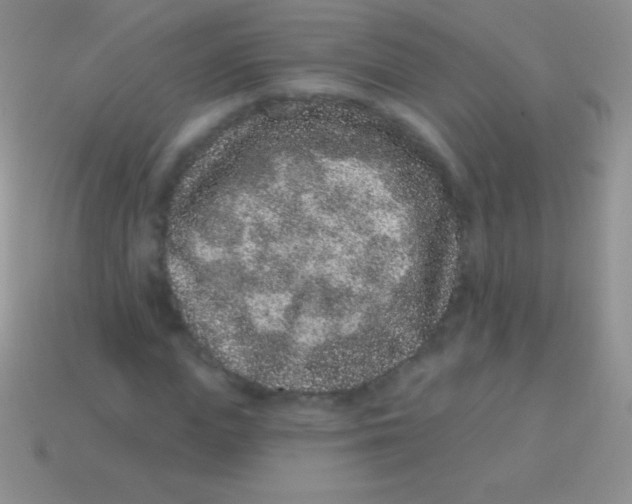 X0000113630823200910162014