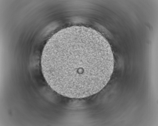 X0000113630824200910162014