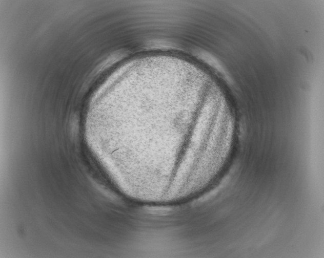 X0000113630825200910162014