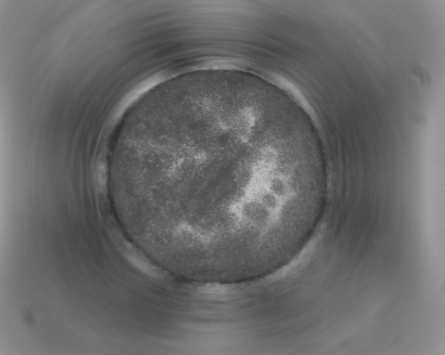 X0000113630827200910162014