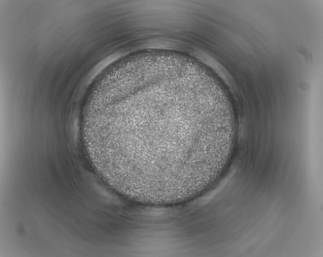 X0000113630829200910162014