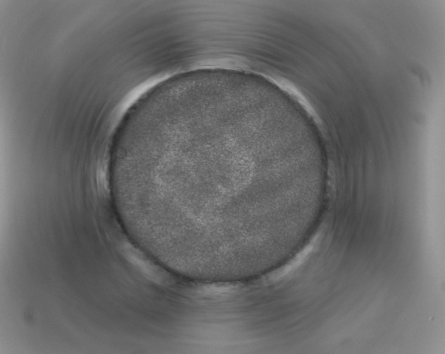 X0000113630830200910162014