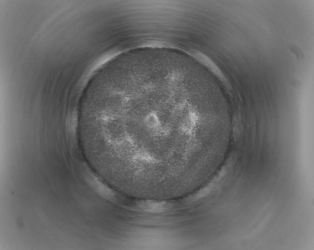 X0000113630831200910162014