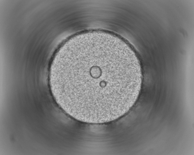 X0000113630832200910162014