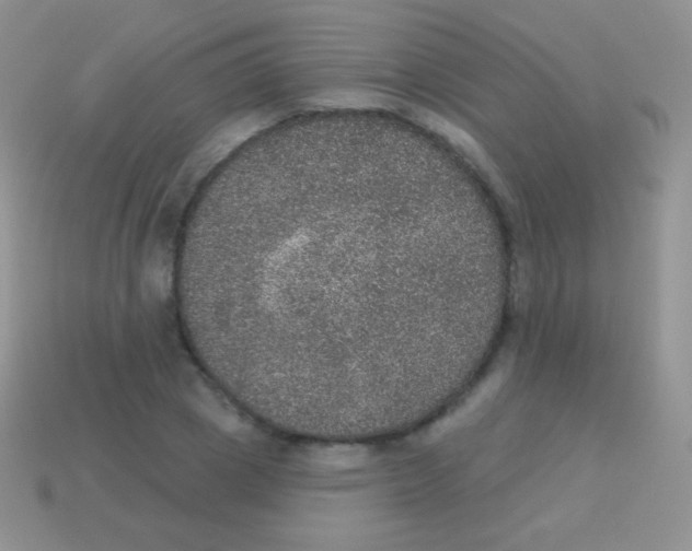 X0000113630833200910162014