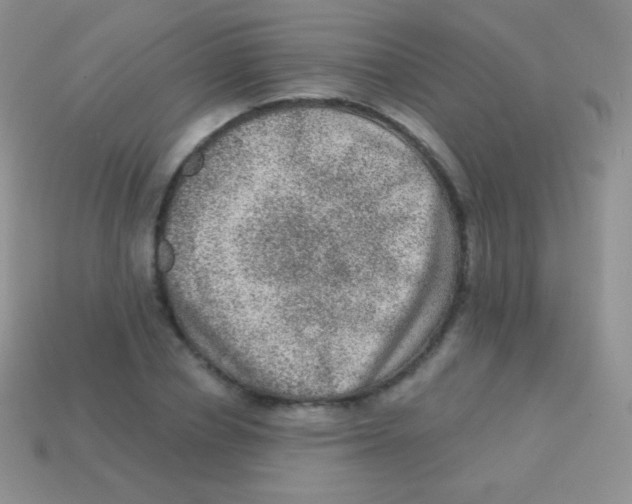 X0000113630834200910162014