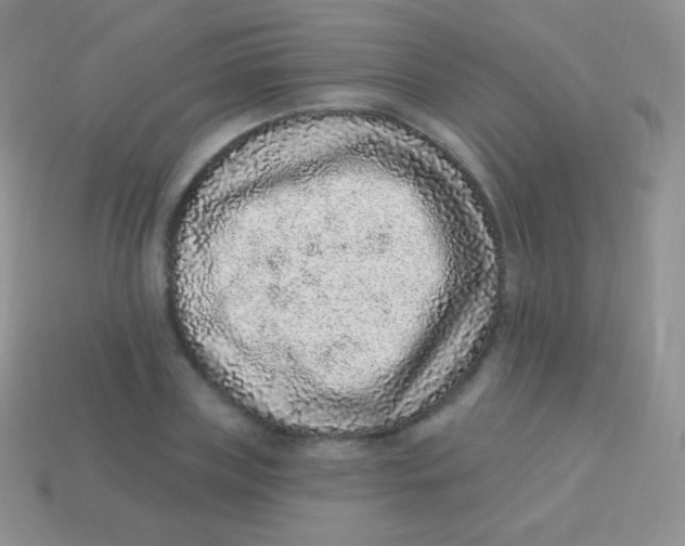 X0000113630835200910162014