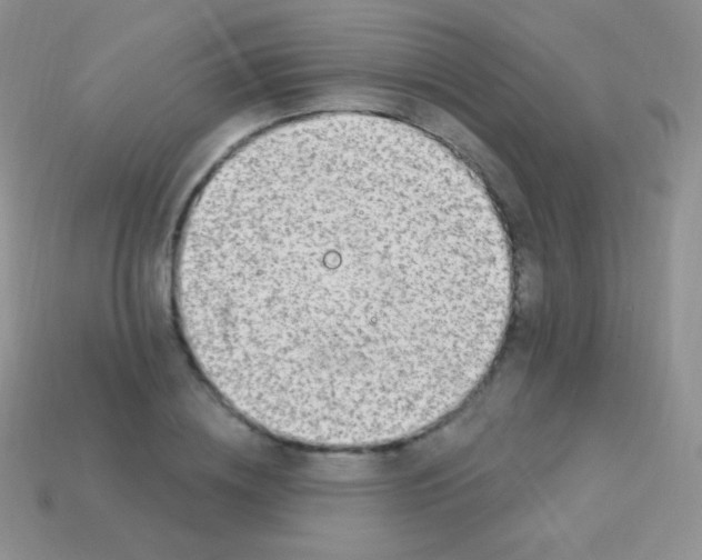 X0000113630836200910162014