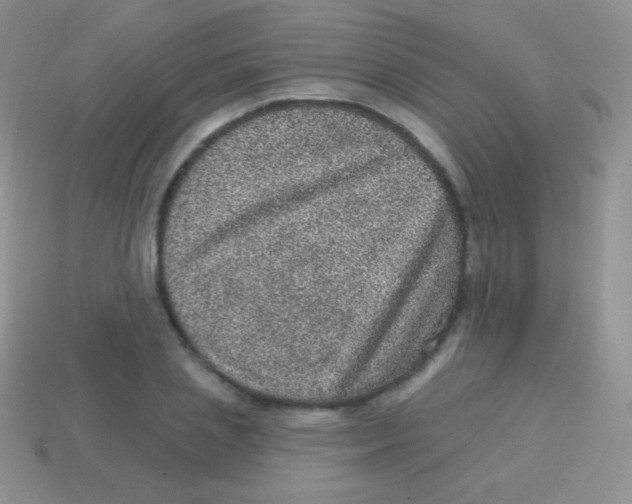 X0000113630837200910162014