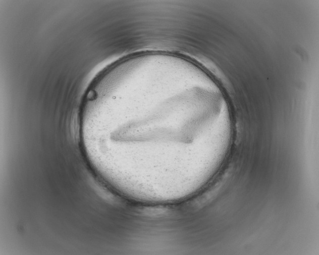 X0000113630838200910162014