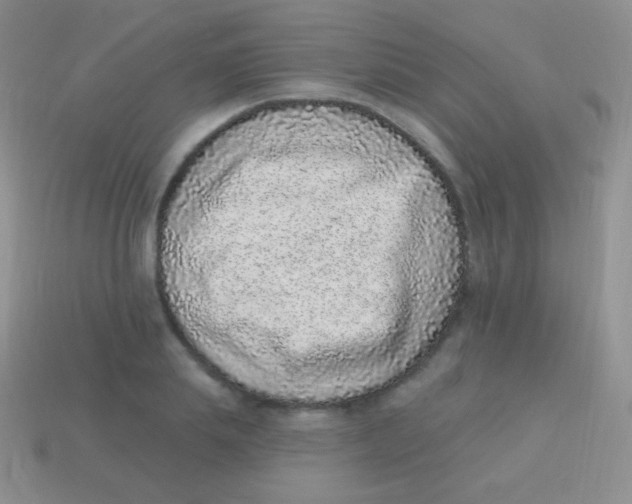 X0000113630839200910162014