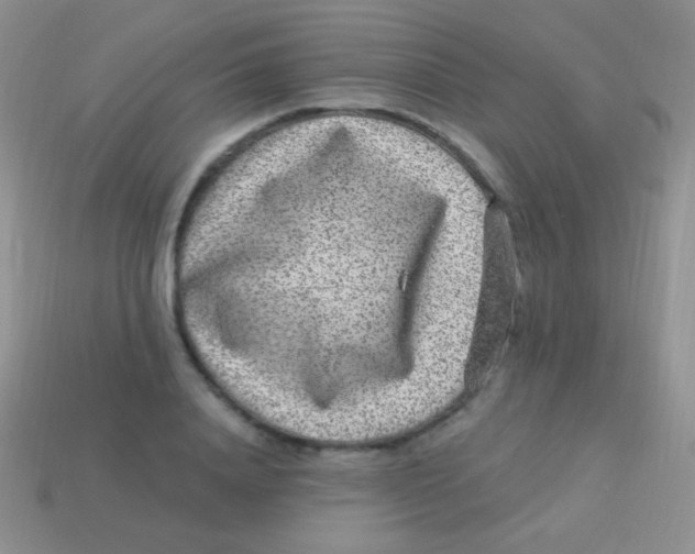 X0000113630840200910162014