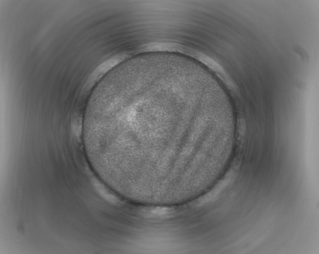 X0000113630841200910162014