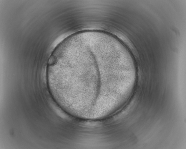 X0000113630842200910162014