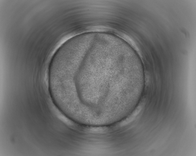 X0000113630843200910162014