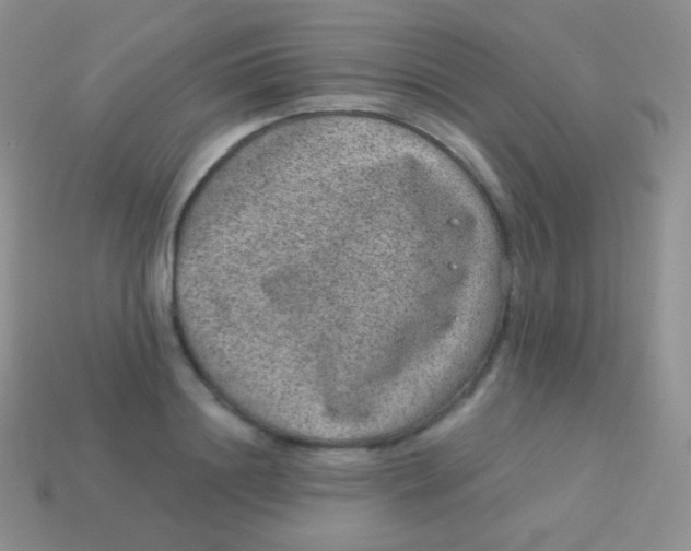 X0000113630844200910162014