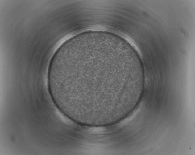 X0000113630845200910162014