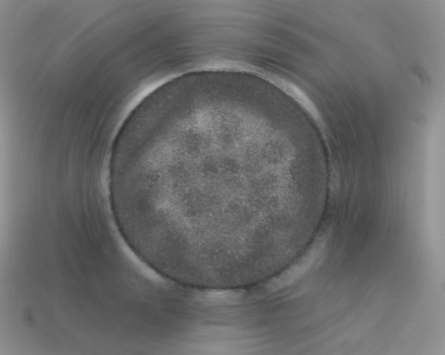 X0000113630847200910162014