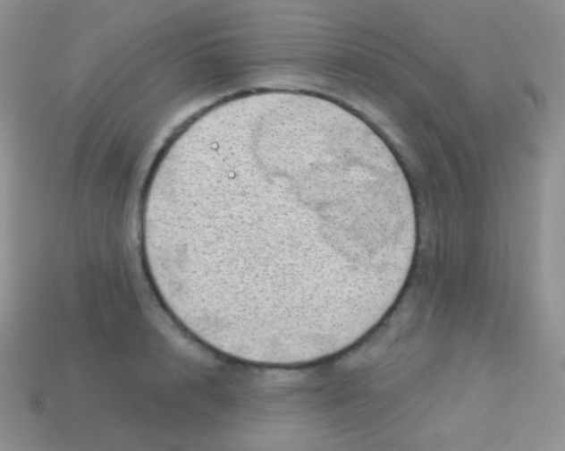 X0000113630848200910162014